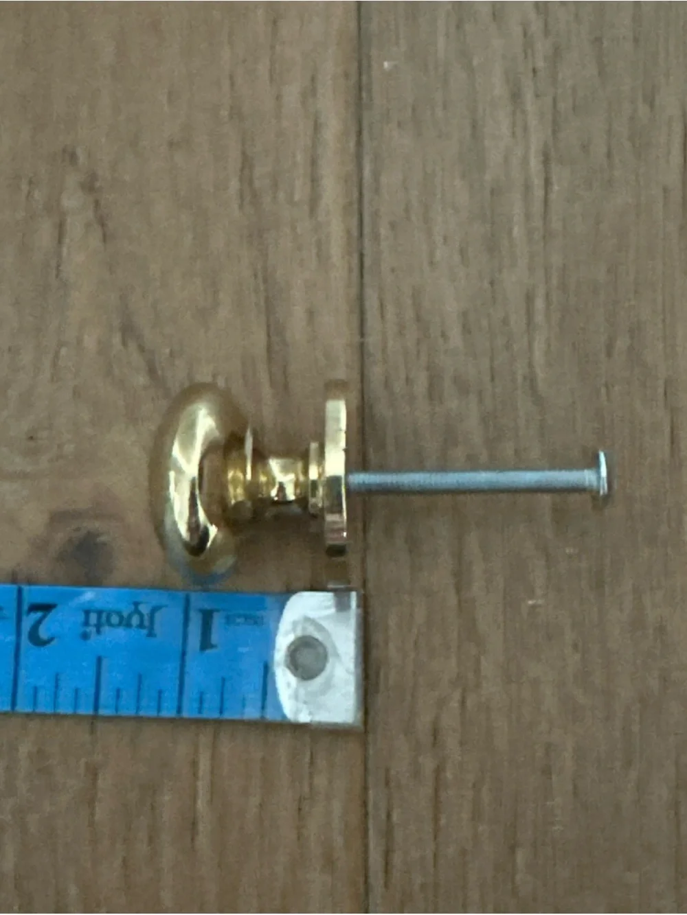 Polished Brass Wall Knobs. Set of 9- Gold Finish